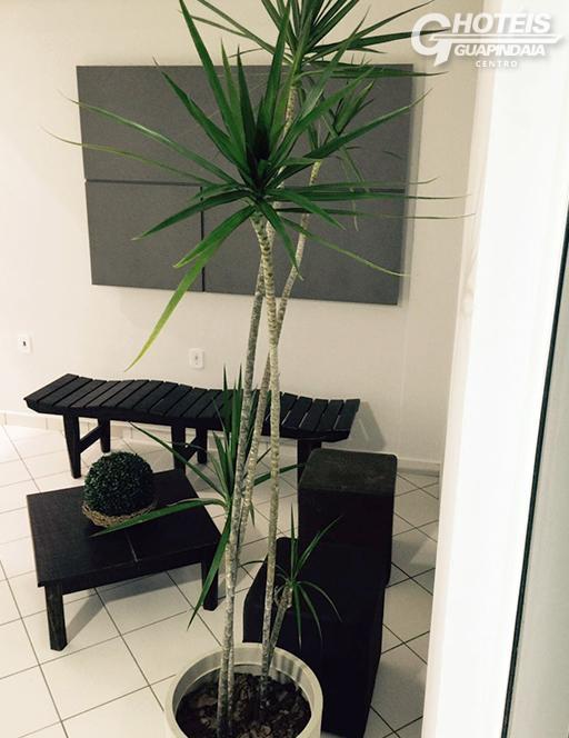 ריו ברנקו Hotel Guapindaia Centro מראה חיצוני תמונה
